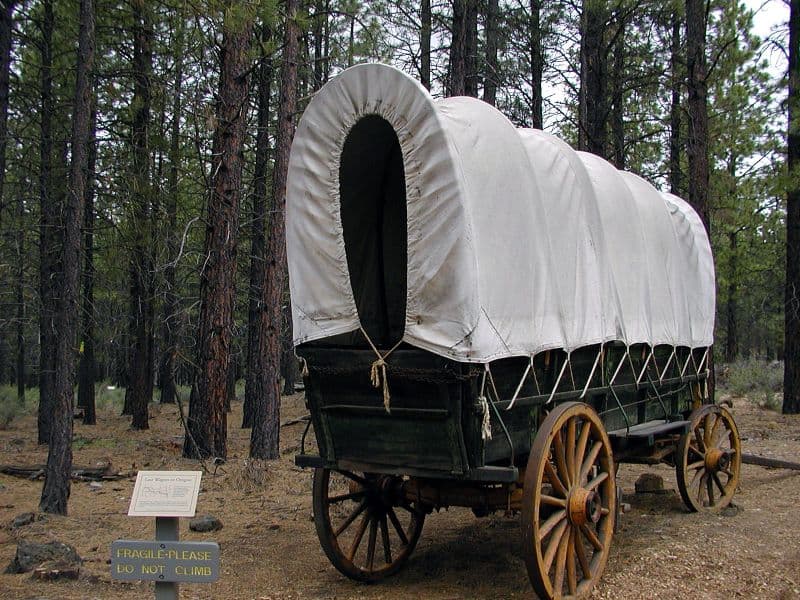 A covered wagon on display outdoors at the High Desert Museum.